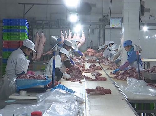 春風送崗 助力就業