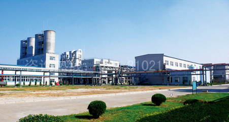 沈陽(yáng)電機(jī)集團(tuán)實(shí)業(yè)電機(jī)