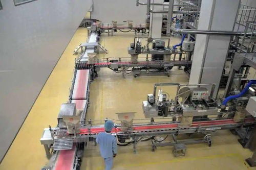 五年回眸丨科爾沁區(qū)的新型工業(yè)化之路