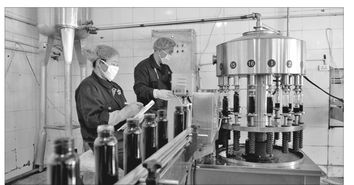 伊春森林食品產業 以綠色優質為導向，賦能實業發展